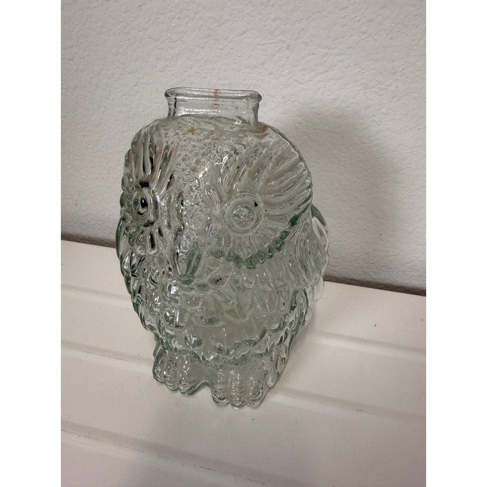 Vintage Wise Old Owl Clear Glass Coin Bank Textured Figural 6 Inch